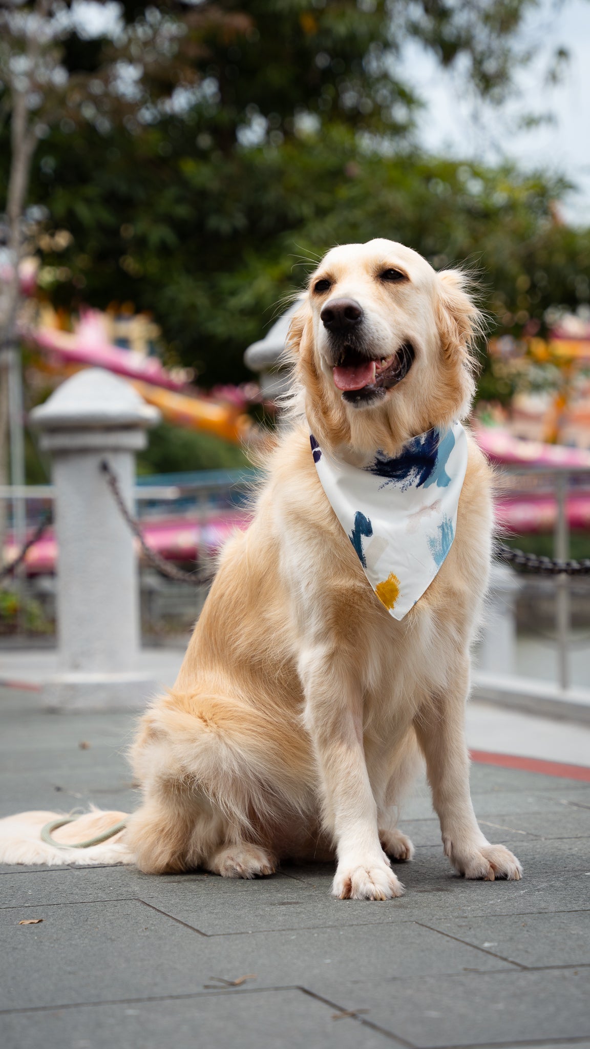 Golden retriever puppy clearance bandana